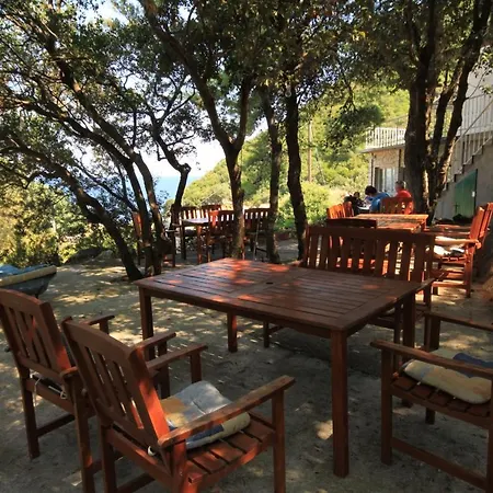 Twin Lucica 990b 게스트하우스